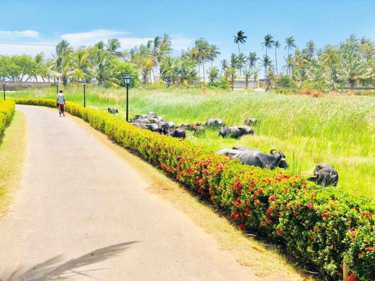 فندق Island House ديكويلاّ تين المظهر الخارجي الصورة